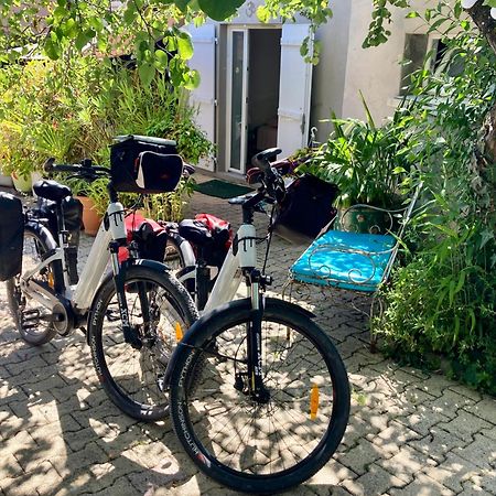 Maisonnette Studio Arcachon 300M Plage Екстериор снимка