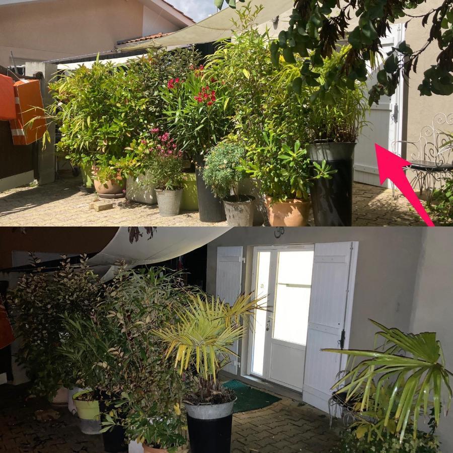 Maisonnette Studio Arcachon 300M Plage Екстериор снимка